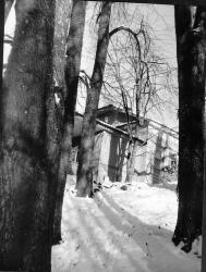 Усадьба "Лог". XIX в. Вид на  усадебный дом из липовой аллеи..  Фото 1988 г.  д.Лог, Плюсский р-он.