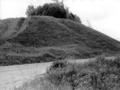 Городище Выбор. XV в. Вид на холм с юго-запада. Фото Семенова М.И. 1993 г.